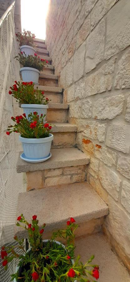 Lamia Pieranna Holiday home Cisternino